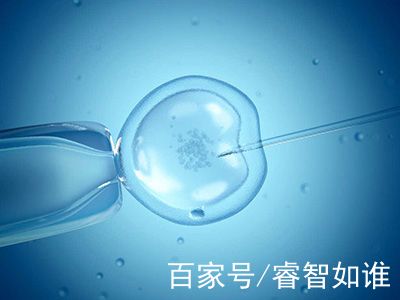 瑞柏国际医院